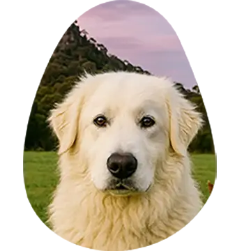 Wombat: Head of Security - Good Egg Co