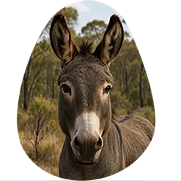 Donkey: Operations manager - Good Egg Co